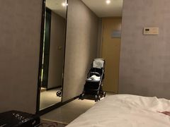 -麗枫(广州番禺长隆南村万博地铁站店)