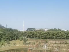 -东莞植物园