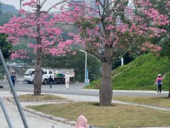 -白石龙音乐公园