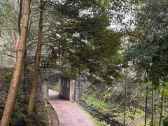 -凤栖山