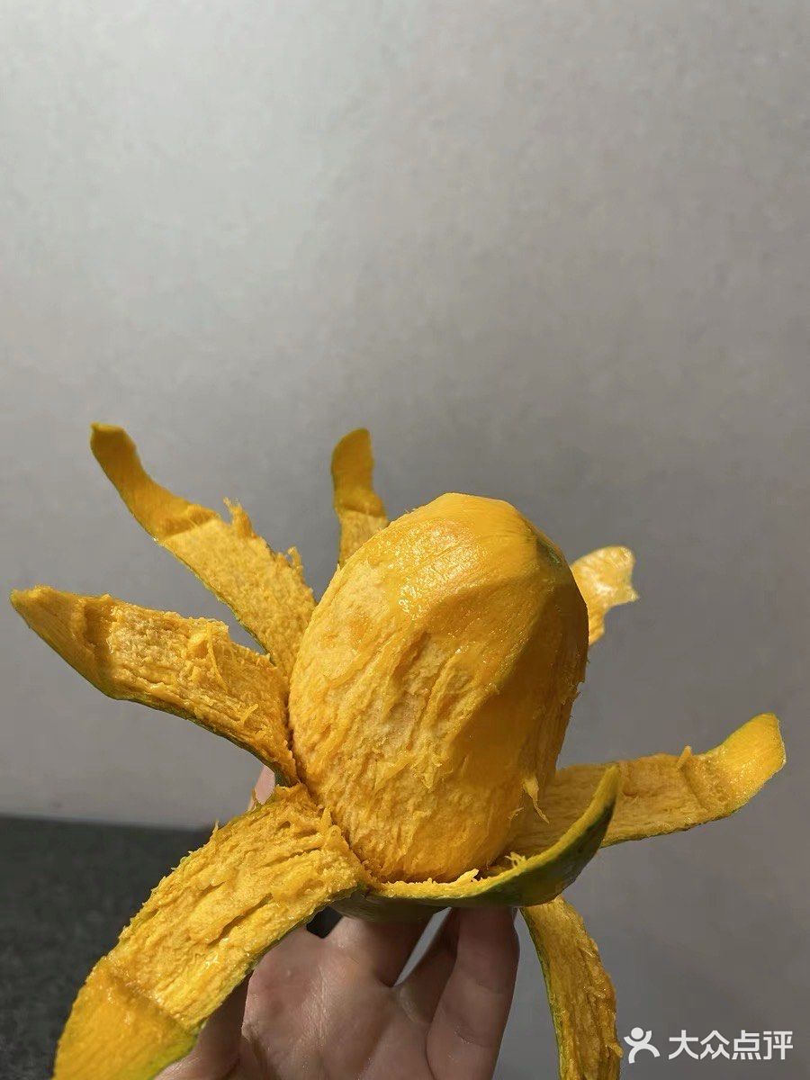 夏日清凉快手凉品✌🏻️