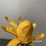 夏日清凉快手凉品✌🏻️