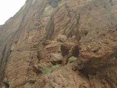 -天山神秘大峡谷