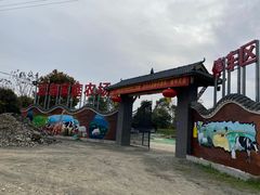 -洪湖家庭农场·团建·露营·会议