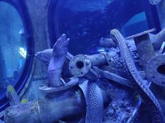 -成都浩海立方海洋公园