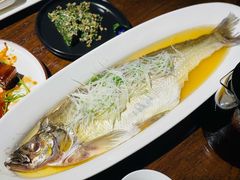 鸡汁蒸太湖白鱼-金枝玉叶上海人家食府(三里河店)