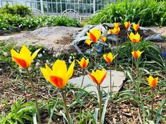 -国家植物园南园