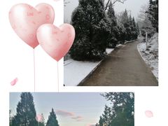 -白水寺森林公园