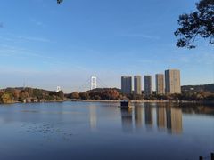 -同庆楼(滨湖万达广场店)