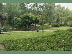-日出青木·杭帮菜名店