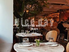 -the rug 飞毯 (朝阳公园店)