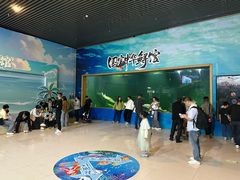 -洛阳龙门海洋馆
