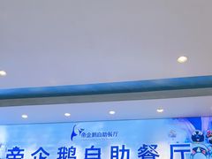 -帝企鹅自助餐厅•儿童岛•真企鹅(长隆企鹅酒店)