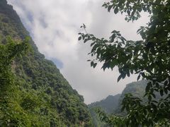 -龙窝子