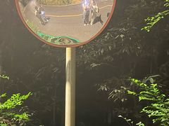-缙云山景区