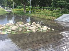 -白塘生态植物园