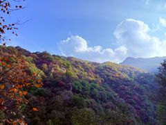 -少华山国家森林公园