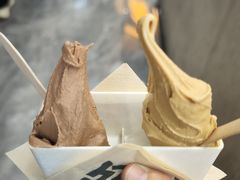 -野人先生现做冰淇淋(西安赛格店)