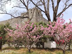 -北京明城墙遗址公园