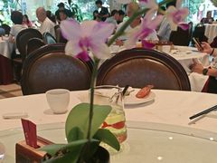 -金河半岛园林酒家(金融城店)