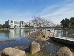 -美兰湖景区