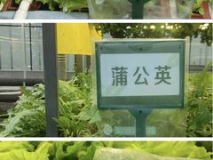 -长春农博园