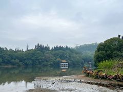 -深圳仙湖植物园