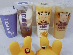 -一只酸奶牛(八一路店)