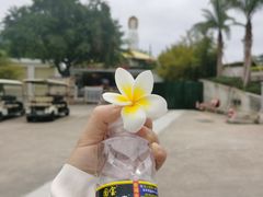 -三亚南山文化旅游区