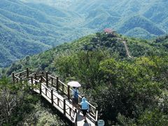 -大岭沟猕猴桃谷风景区