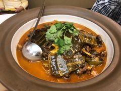 -洞庭家宴·头牌甲鱼(广渠门店)