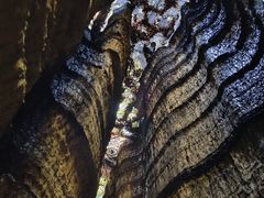 -梭布垭石林景区