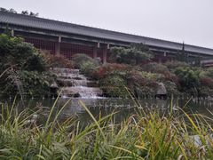 -大佛禅院