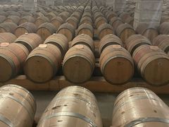 -紫轩葡萄酒庄园