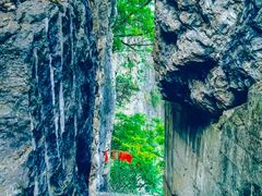 -九皇山景区
