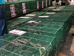 -荔城生鲜盛宴(番禺旗舰店)