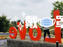 -都江堰玫瑰花溪谷
