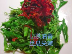 山茶油丝瓜尖-清水亭湖北菜(大屯DT51店)