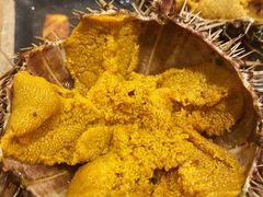 活海胆-海胆小馆(春柳店)