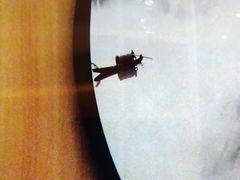-尚荟汤泉生活馆