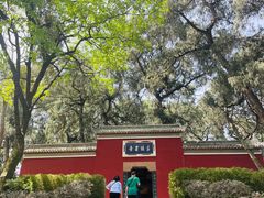 -子昂故里文化旅游区