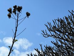 -晓港公园