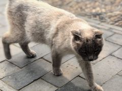 -莲池书院博物馆
