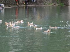 -鹿亭中村