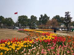 -江南大学(蠡湖校区)