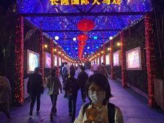 -广州长隆国际大马戏