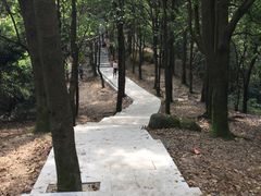 -火炉山森林公园
