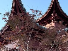 -楚望台遗址公园