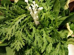-牛记皇·鲜牛肉火锅(弘阳广场店)