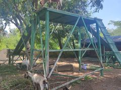-清风小镇闯关东影视基地